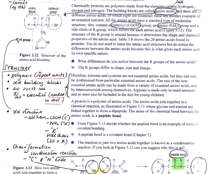 Example of margin notes